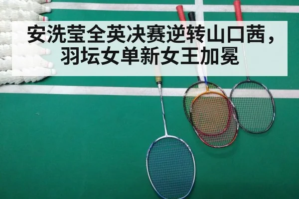 badminton final match
