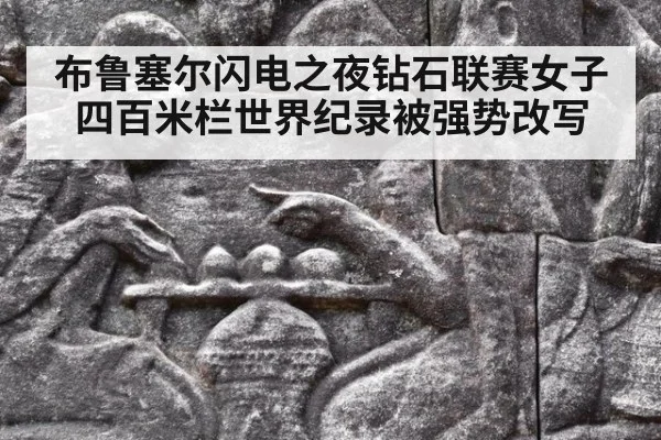 布鲁塞尔闪电之夜钻石联赛女子四百米栏世界纪录被强势改写